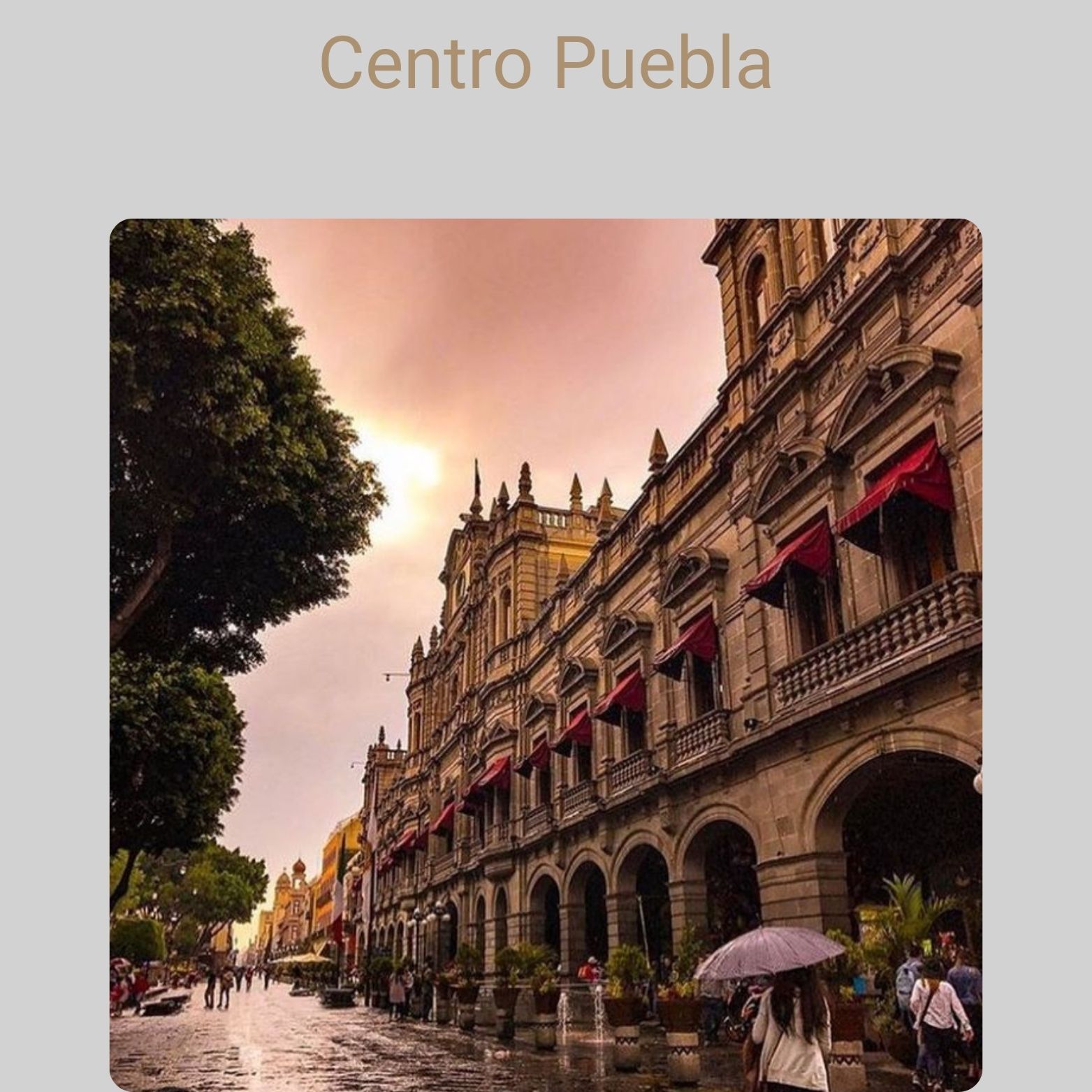 Añadir un título.zip - 20